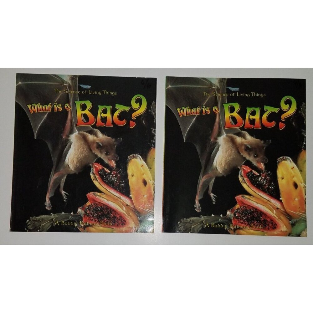 What Is A Bat? 2 PBK Book Lot Duplicates Teacher Classroom Library Science